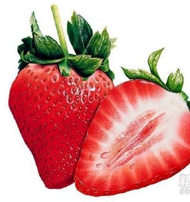 草莓 草莓