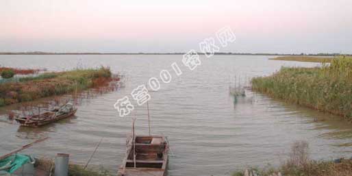 �|�I(y��ng)001��W(w��ng)