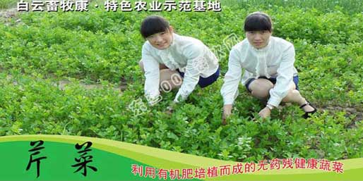 �|�I001��W(w��ng)