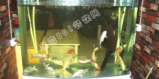 �|�I(y��ng)001��W(w��ng)