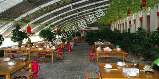 �|�I001��W(w��ng)