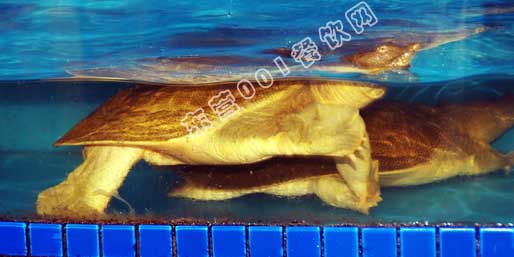 �|�I(y��ng)001��W(w��ng)