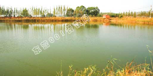 �|�I001��W