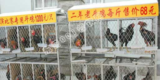 �|�I(y��ng)001��W(w��ng)