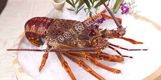 �|�I(y��ng)001��W(w��ng)