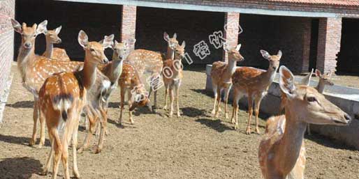 �|�I001��W(w��ng)