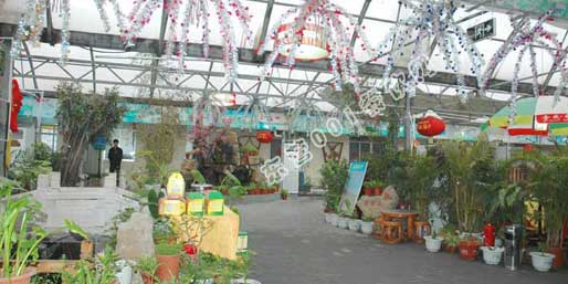 �|�I001��W(w��ng)