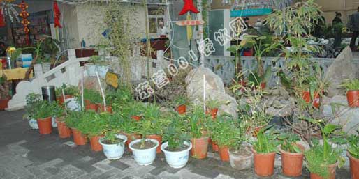 �|�I001��W(w��ng)