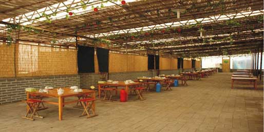 �|�I001��W(w��ng)