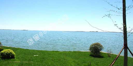 �|�I001��W(w��ng)