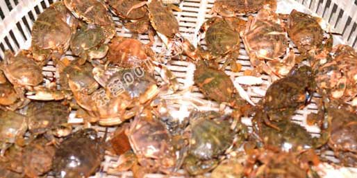 �|�I001��W(w��ng)