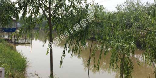 �|�I001��W(w��ng)