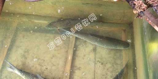 �|�I001��W