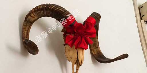 �|�I001��W(w��ng)